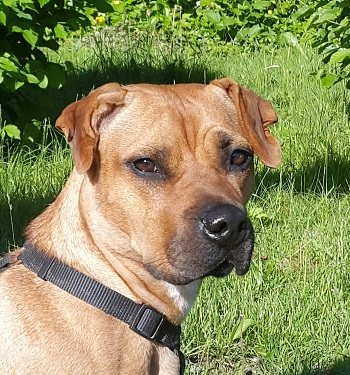 Mehr Info zu Georgia