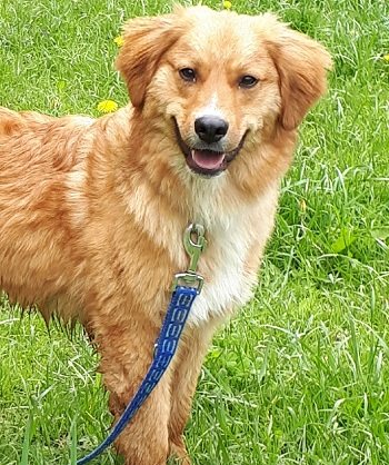 Mehr Info zu Puschkin