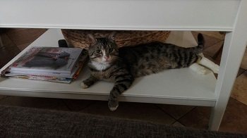 Mehr Info zu Caramio