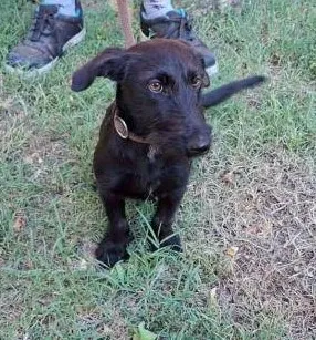coco