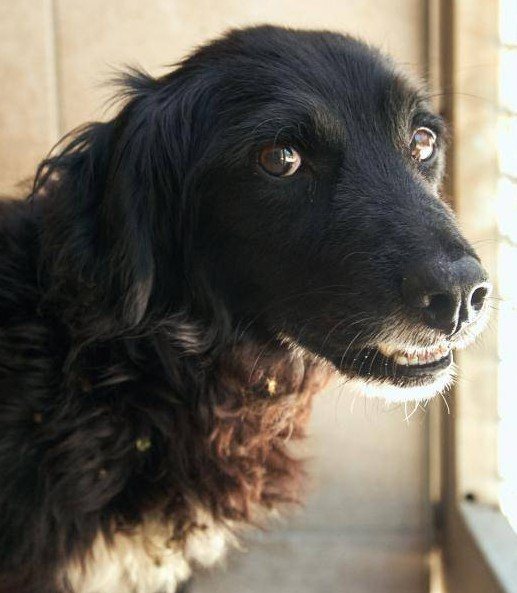 Mehr Info zu Gumbacs