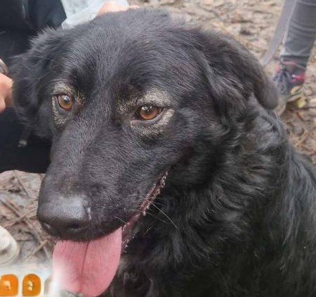 Mehr Info zu Hercules