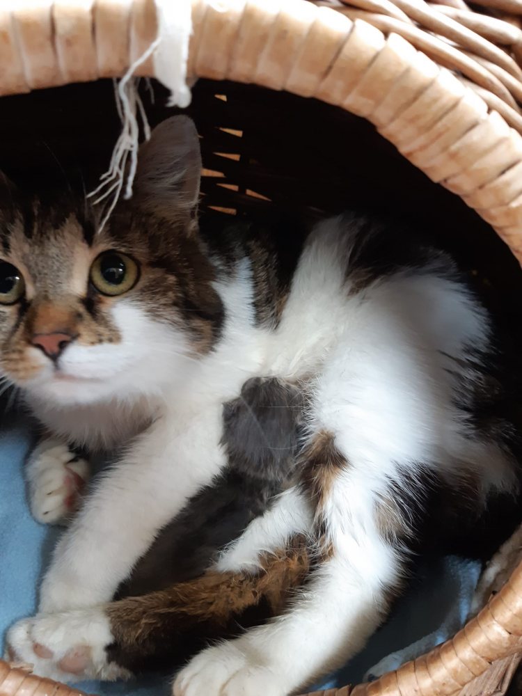 Meggy und ihr Winzling