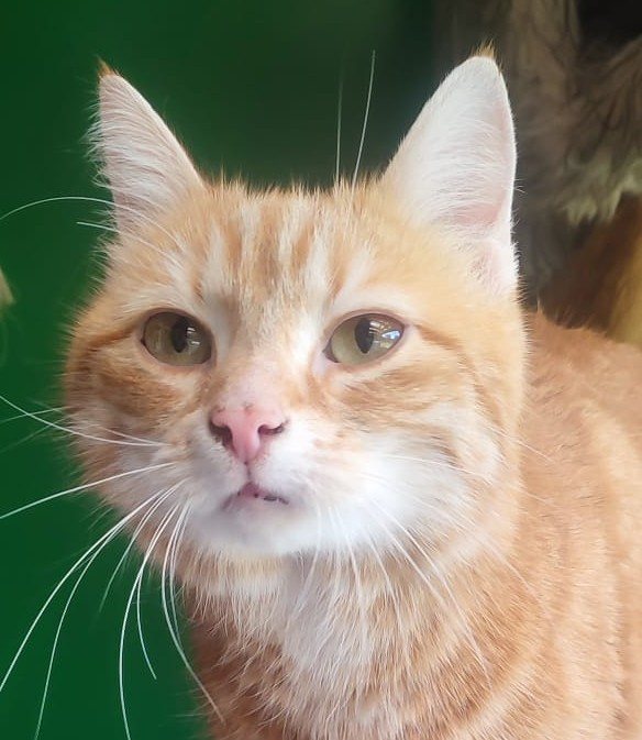 Mehr Info zu Charly & Leo