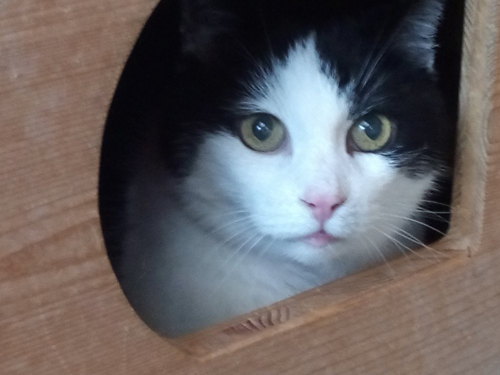 Mehr Info zu Micky und Sunny