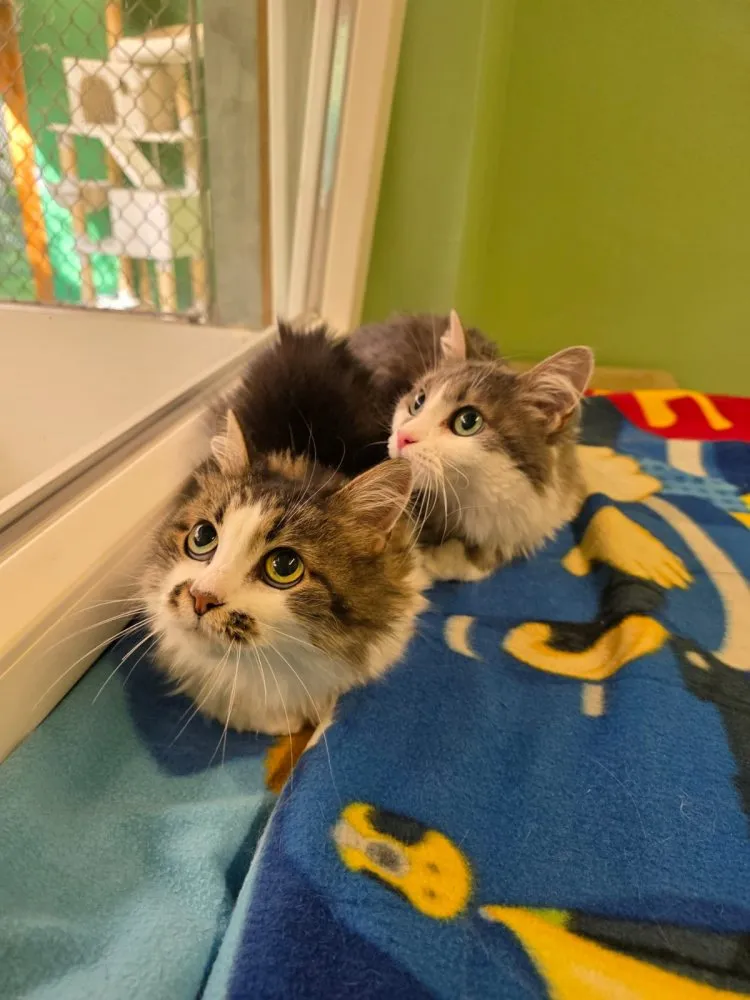 Gerti und Mia