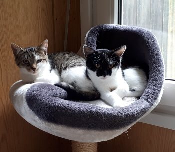 Mehr Info zu Hella &  Hermi