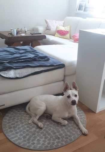 Lukka
