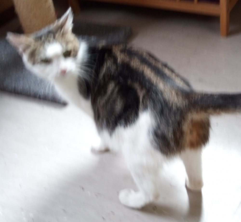 Mehr Info zu MiaMama