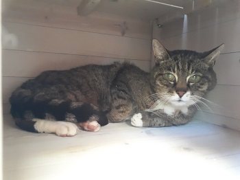 Mehr Info zu Moritz 2