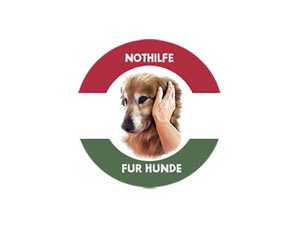 Nothilfe für Hunde