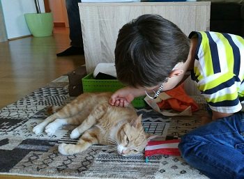 Mehr Info zu Pumuckl