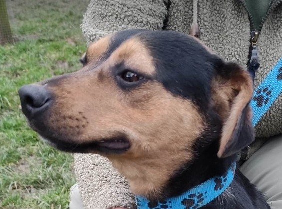 Mehr Info zu Pall Mall