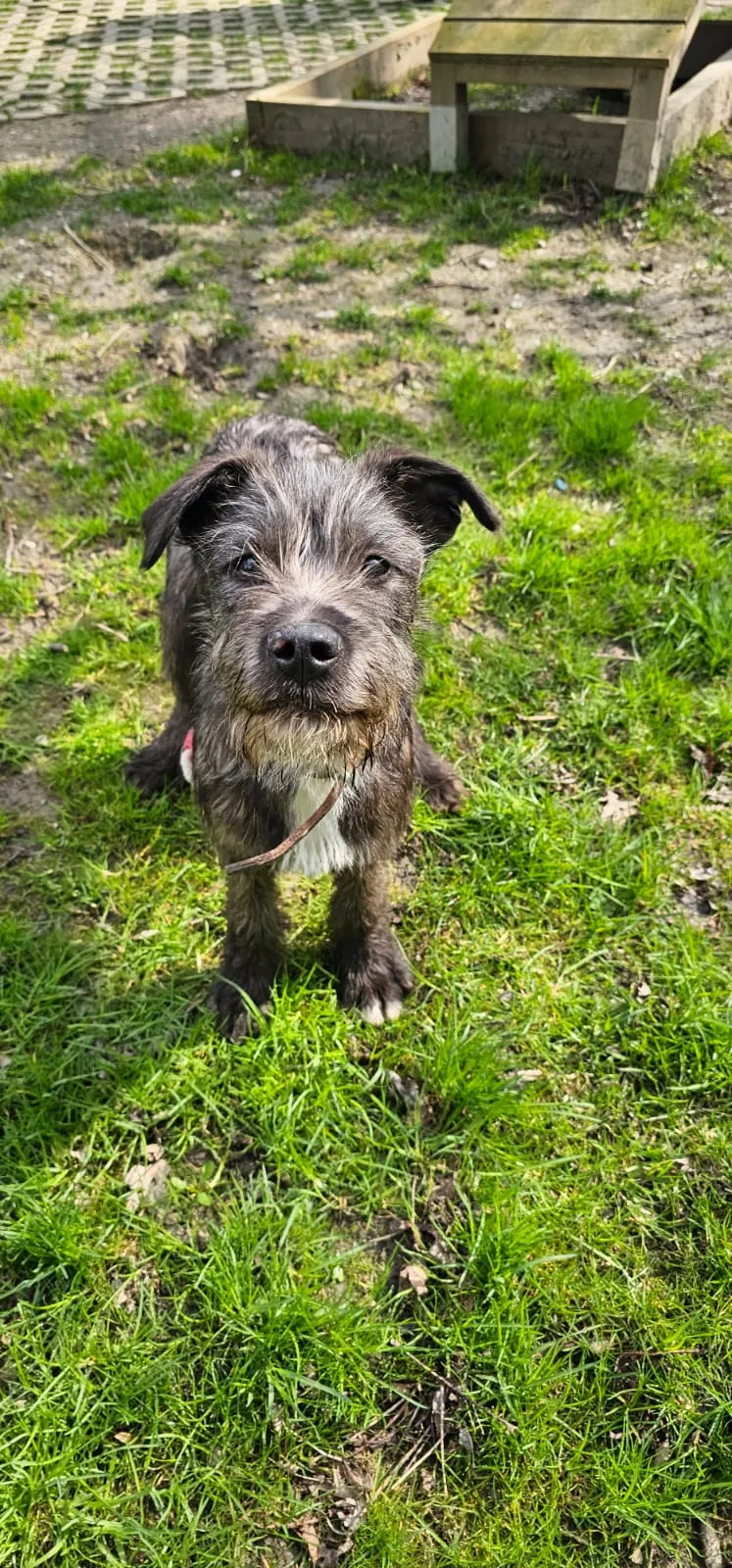 Mehr Info zu Taler - der Hahn im Korb reserviert
