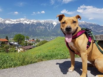 Mehr Info zu Tequila