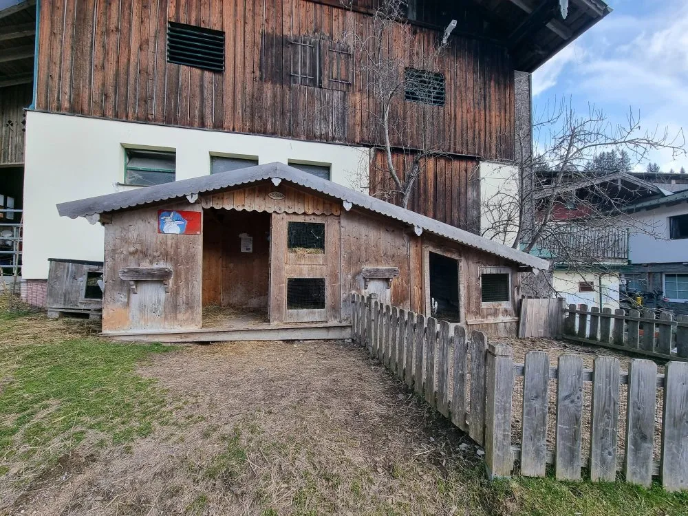 Mehr Info zu Junghäschen auf Nestsuche