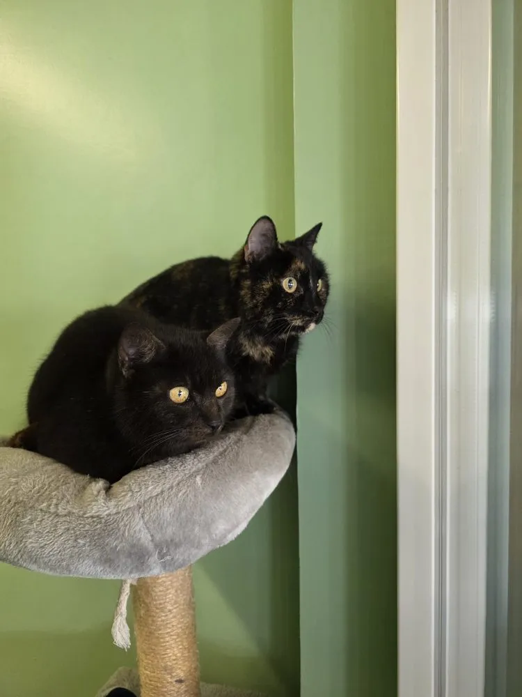 Mehr Info zu Lana und Mupi