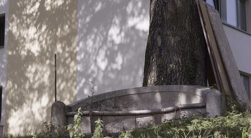 Regenstreif Illich (rf_baum-mit_bank_jetzt.jpg)