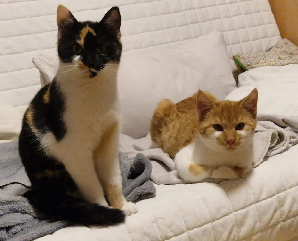 Mehr Info zu Maggie und Leo