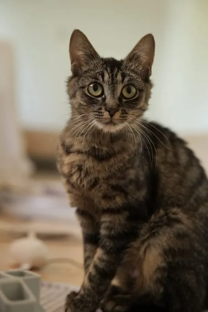 Mama